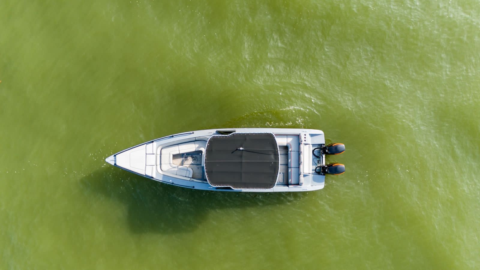 Black Bunny speedboat 34ft/14ppl