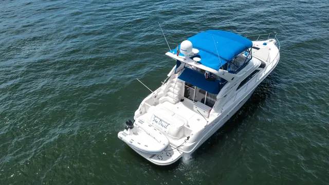 Yate Sea Ray 45 pies