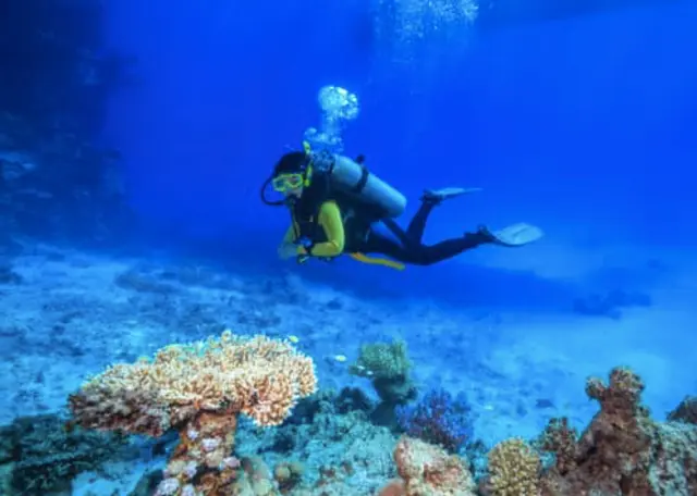 Buceo