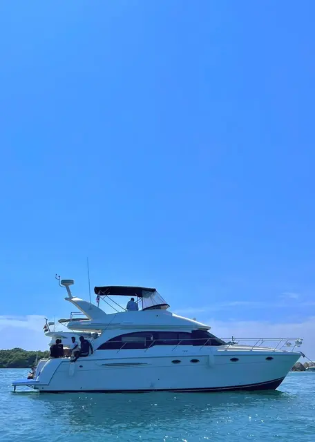 Meridian Yacht 41 pies