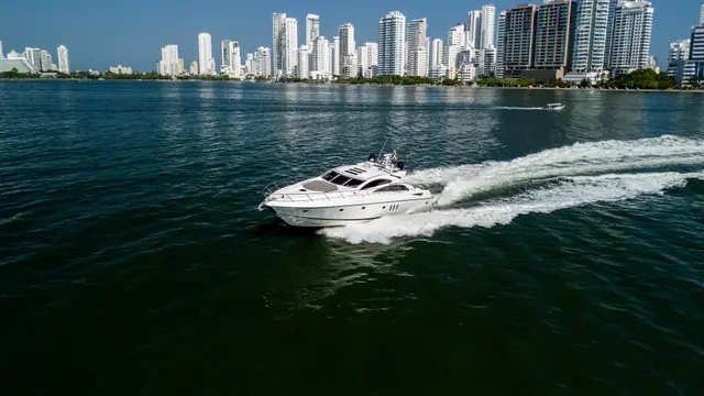 Sunseeker Predator White 72 pies