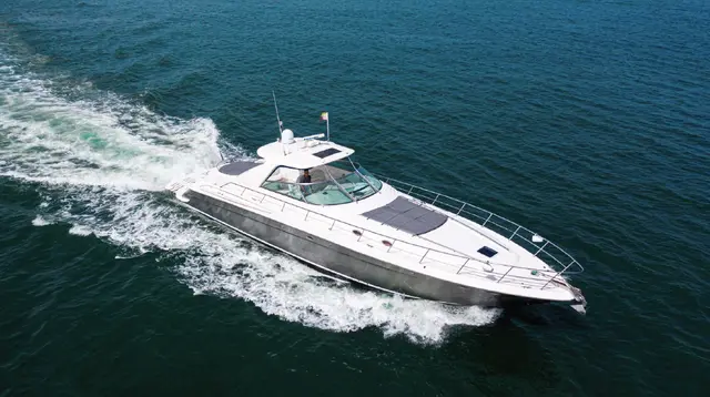 Sea Ray 62 pies