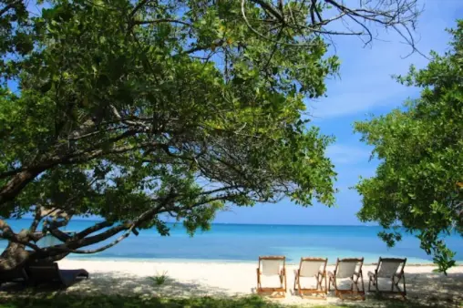 Isla Palma Rosa