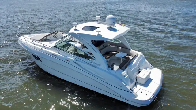 Cruiser 38 pies