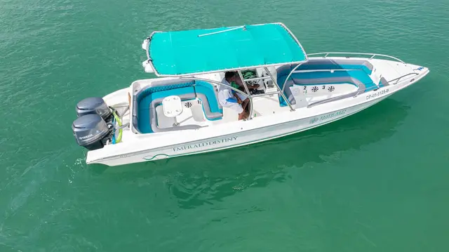 Lancha Rápida Emerald 29 pies